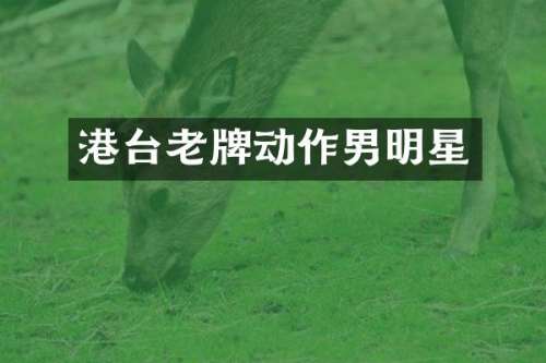 港台老牌动作男明星