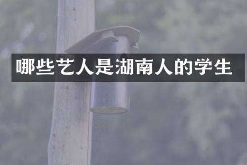 哪些艺人是湖南人的学生
