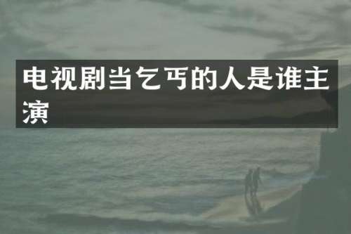 电视剧当乞丐的人是谁主演