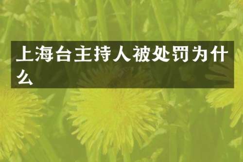 上海台主持人被处罚为什么