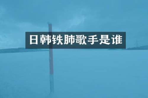 日韩铁肺歌手是谁
