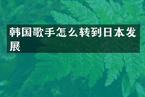 韩国歌手怎么转到日本发展