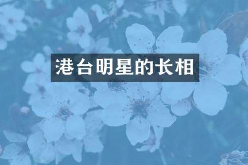 港台明星的长相