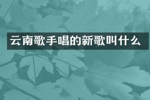 云南歌手唱的新歌叫什么