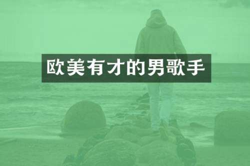 欧美有才的男歌手
