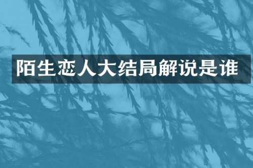 陌生恋人大结局解说是谁