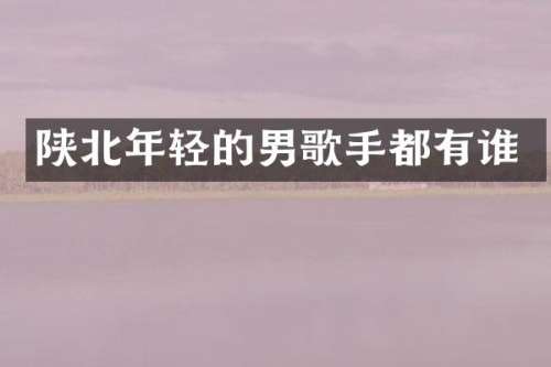 陕北年轻的男歌手都有谁