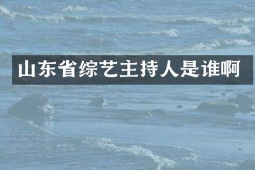 山东省综艺主持人是谁啊