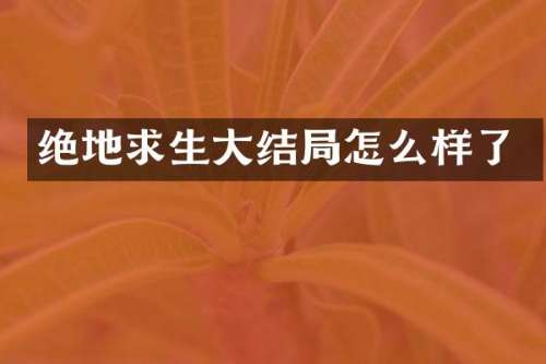 绝地求生大结局怎么样了