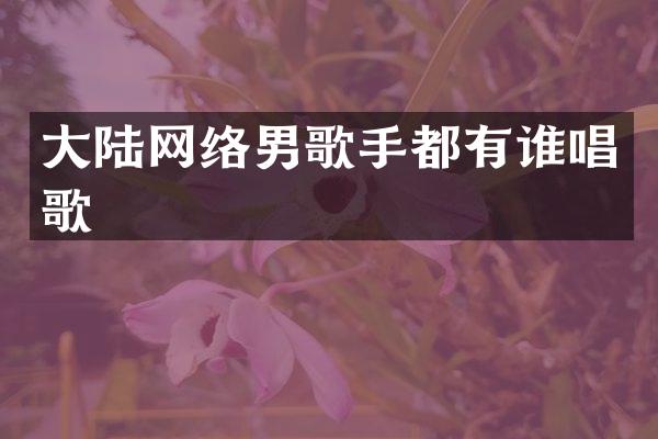大陆网络男歌手都有谁唱歌