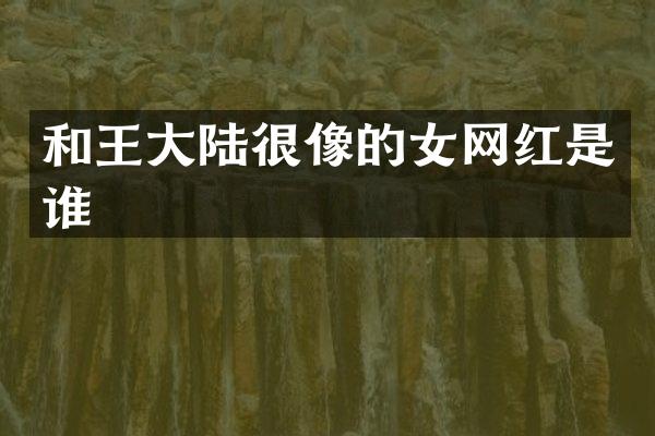 和王大陆很像的女网红是谁