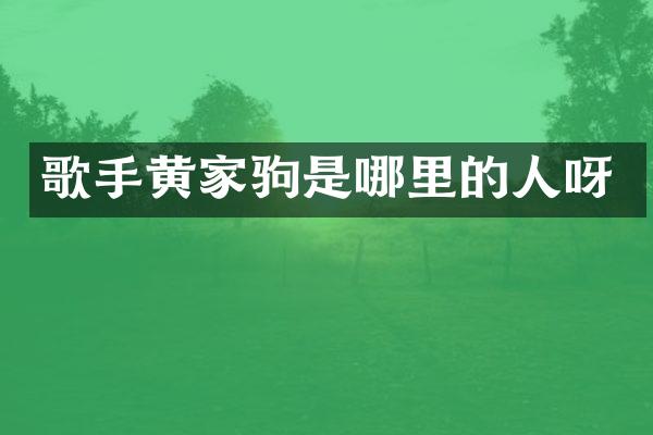 歌手黄家驹是哪里的人呀