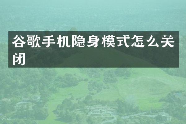 谷歌手机隐身模式怎么关闭