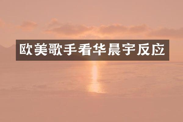 欧美歌手看华晨宇反应