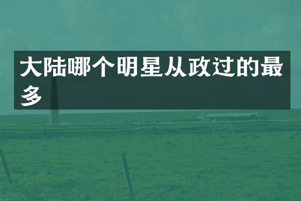 大陆哪个明星从政过的最多