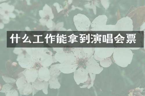 什么工作能拿到演唱会票
