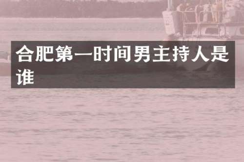 合肥第一时间男主持人是谁