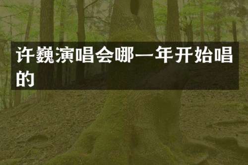 许巍演唱会哪一年开始唱的