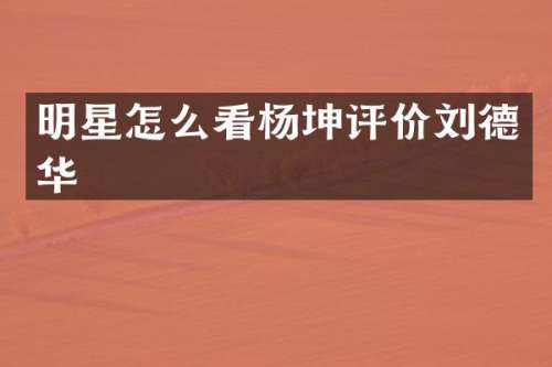 明星怎么看杨坤评价刘德华