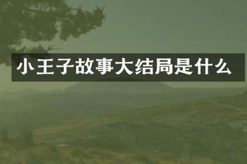 小王子故事大结局是什么