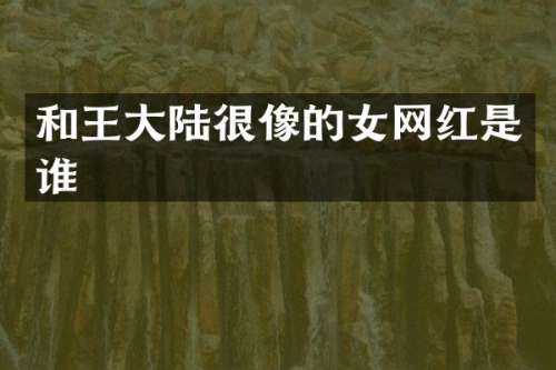 和王大陆很像的女网红是谁