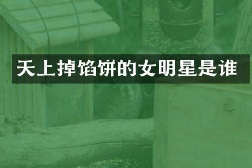天上掉馅饼的女明星是谁