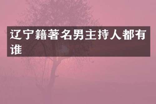 辽宁籍著名男主持人都有谁