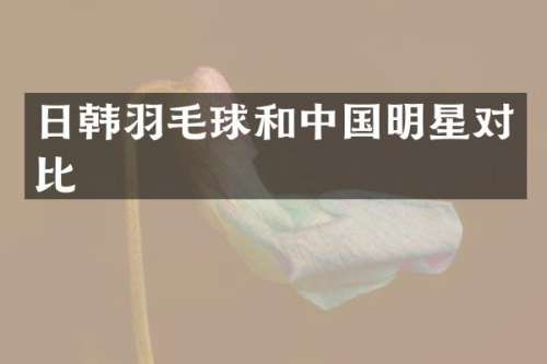 日韩羽毛球和中国明星对比