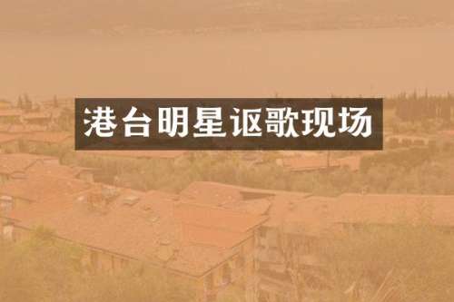 港台明星讴歌现场