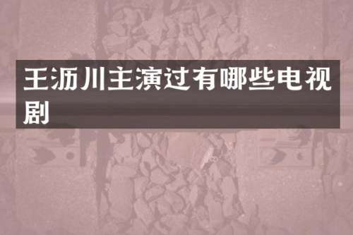 王沥川主演过有哪些电视剧