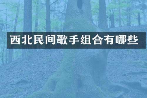 西北民间歌手组合有哪些
