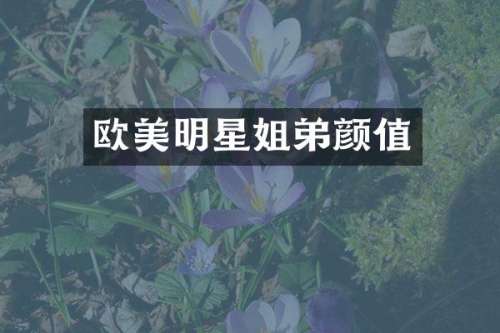 欧美明星姐弟颜值
