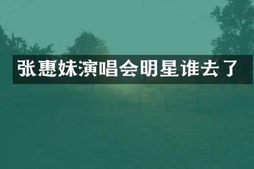 张惠妹演唱会明星谁去了