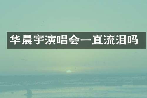 华晨宇演唱会一直流泪吗