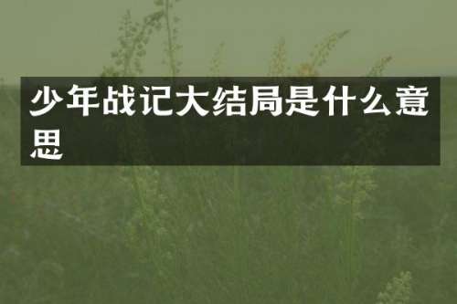 少年战记大结局是什么意思