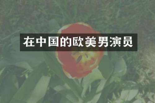 在中国的欧美男演员