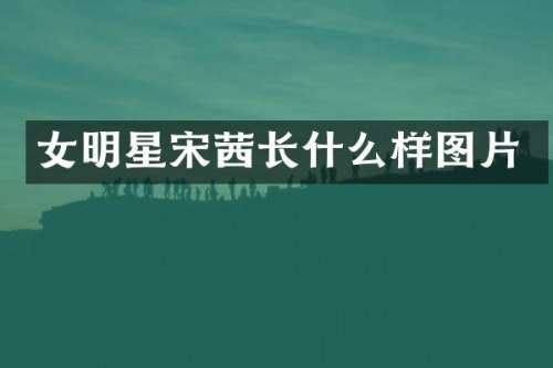 女明星宋茜长什么样图片