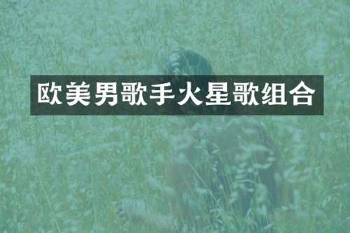 欧美男歌手火星歌组合