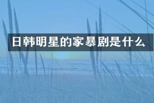 日韩明星的家暴剧是什么