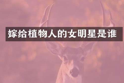 嫁给植物人的女明星是谁