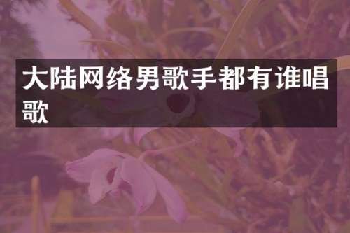 大陆网络男歌手都有谁唱歌