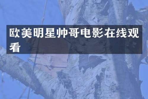欧美明星帅哥电影在线观看