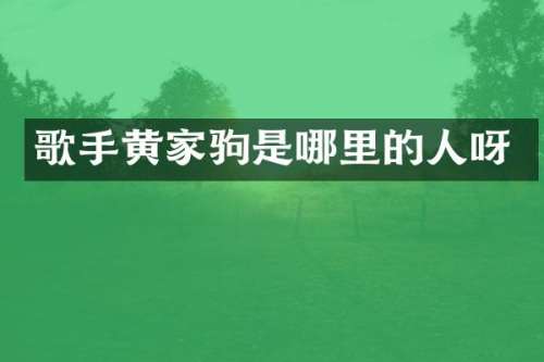 歌手黄家驹是哪里的人呀