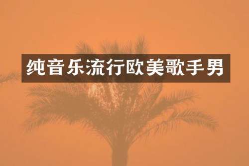 纯音乐流行欧美歌手男