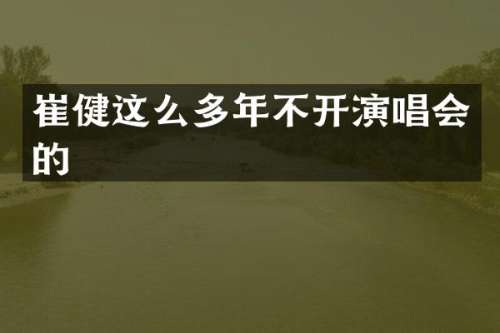 崔健这么多年不开演唱会的