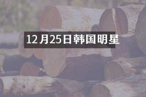 12月25日韩国明星