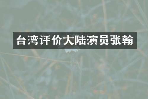 台湾评价大陆演员张翰