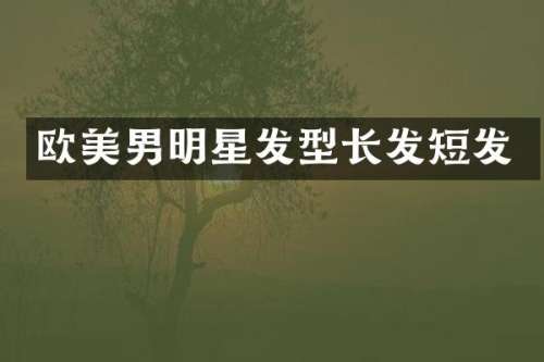 欧美男明星发型长发短发
