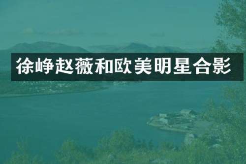 徐峥赵薇和欧美明星合影