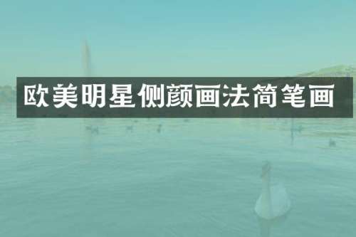 欧美明星侧颜画法简笔画